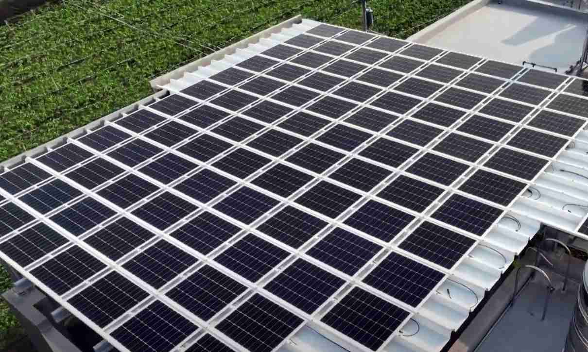 尊时凯龙SunSteel光电浪板升级双玻结构，，，以提升机械负载强度及气候耐候度，，，，可广泛运用于多元场域