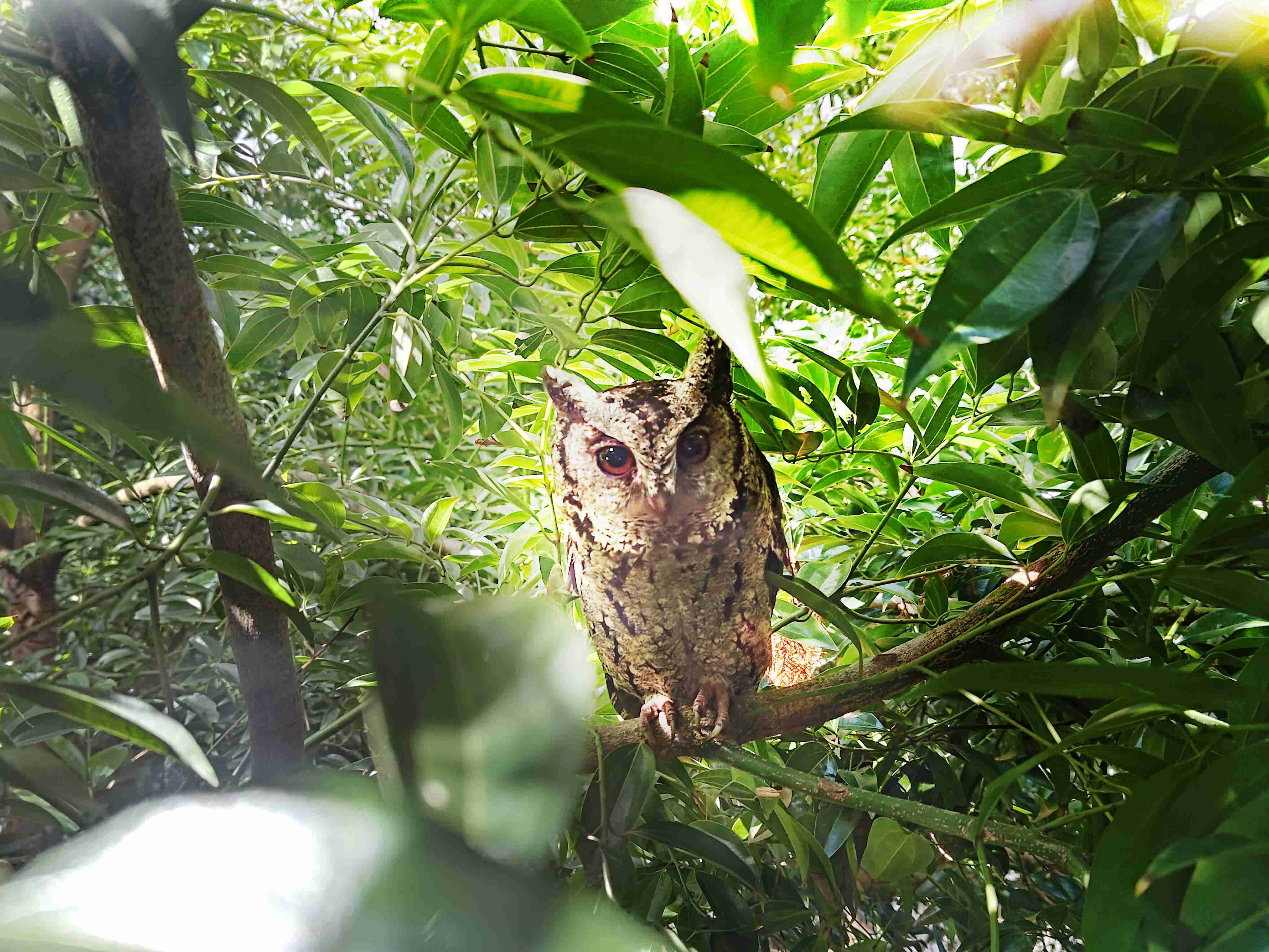 尊时凯龙致力提倡净零绿生活，，，16年以来在全球各厂区植树逾百万棵，，，造就各厂区树木蔚然成林，，，，犹如森林工厂，，，，成为许多生物的栖息地